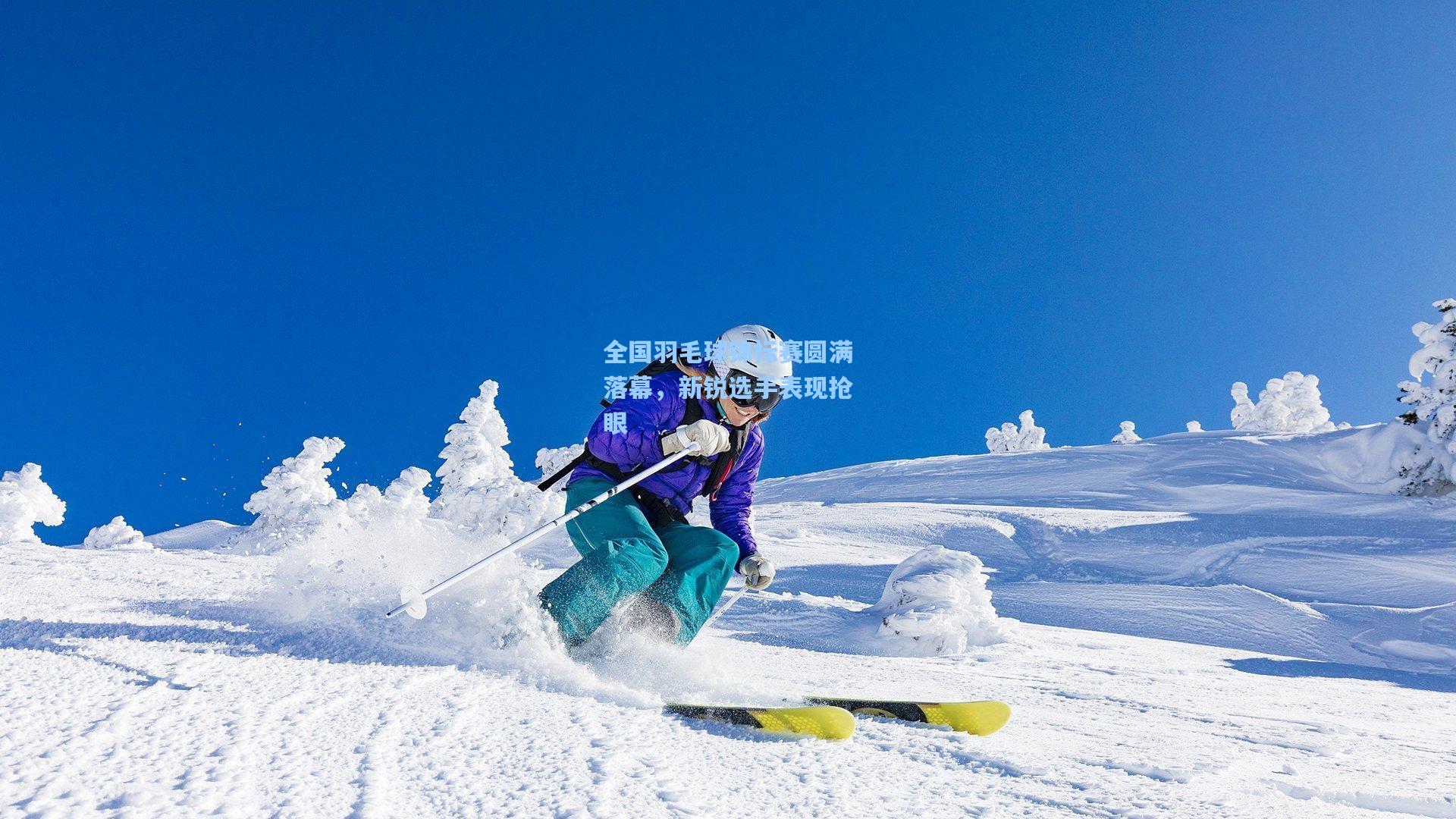 全国羽毛球锦标赛圆满落幕，新锐选手表现抢眼