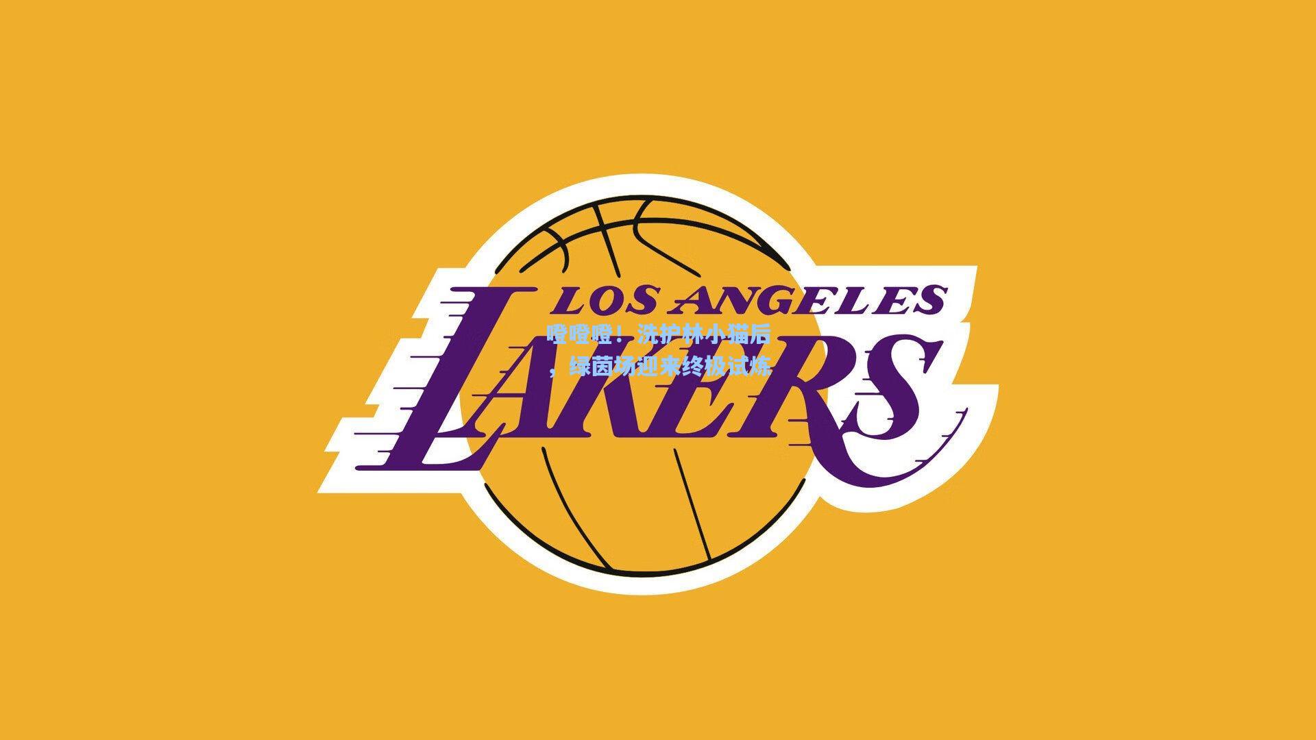 噔噔噔！洗护林小猫后，绿茵场迎来终极试炼